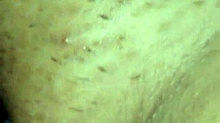 the husband fucks his wife passionately