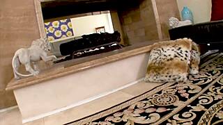 aimee addison sexy blonde cougar milf with natural tits gives big cock pov blowjob ending in cum facial