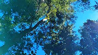 why tease me in woods, hot stepdaughter?