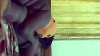 Thick Fat Ass Girlfriend Wild Ride