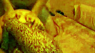 hey papi i'm your zorra come cogeme rico like amateur latina mexican prostitute