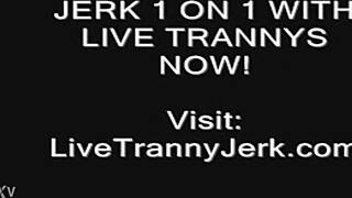 Check out this shemale showing off legs and feet with a cum finish