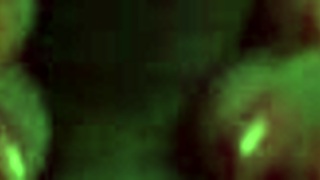 Alice Fire gives very beautiful blowjob with fake tits and hard sex in hotel with monster cock