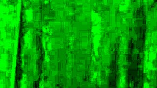 introducing wild curves