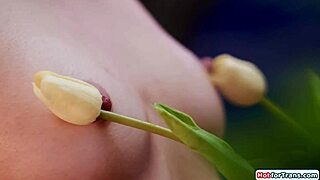 Big boobs tgirl izzy wilde is ass rimmed in petite latina crossdressing blowjob action.