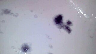 Bratty Sub Shaving Her Hairless Ebony Pussy Smooth