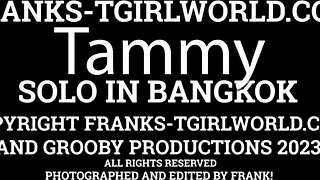 franks-tgirlworld features tammy in a solo session jerking off with toys until she cums