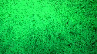 Subtle thong panties tease with big ass shaking and pussy lips worship in amateur brunette style