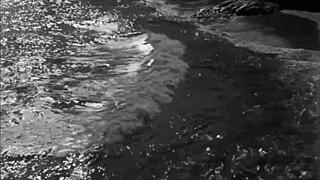 Vintage drawings showcase erotic hairy figures in retro antique style with detailed vintage elements