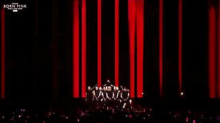 Blackpink's Born Pink concert experience in Japan