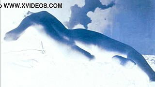 vintage drawings in retro style