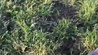 oh man, that perfect blowjob from my submissive girlfriend outdoors felt insanely good.