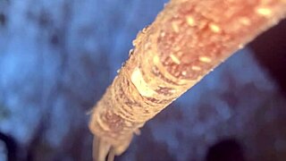 Real Life Witch Experiences Hardcore Doggystyle Fucking with Black Monster Cock in Forest Outdoors