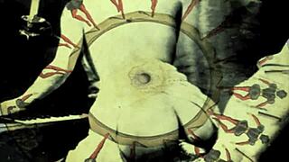 Vintage erotic art captures antique retro hairy elegance in timeless narrative.