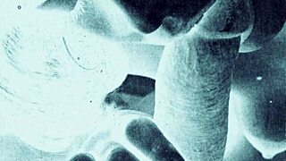 Vintage erotic art captures antique retro hairy elegance in timeless narrative.