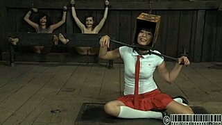 four petite angels cram tight 18+ cage together