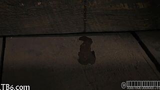 four petite angels cram tight 18+ cage together