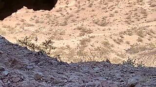 Couple Caught in Outdoor Cave: Public Blowjob Turns Hardcore Cumshot