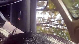 adventures of milfycalla ep 4... need a ride? deepthroat ride my curvy milf ass! 🚗💦