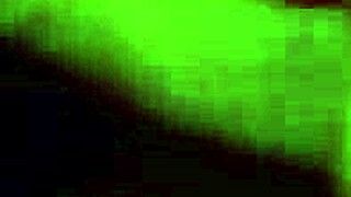 young bbw sucks old black fat cock interracial mature