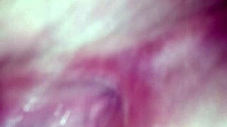 my wet pussy waits alone