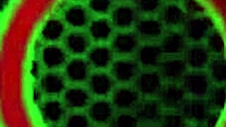 redhead penny pax and milf sunbathe outdoors licking big clit pussy lips in lingerie