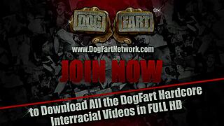 Paris Kennedy parades cuck hubby while picking black bull cock 🚗🍫