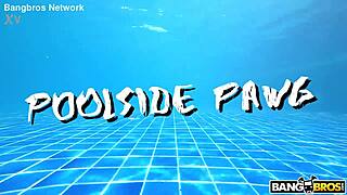 poolside blonde pawg sucks cock before creampie in shaved pussy