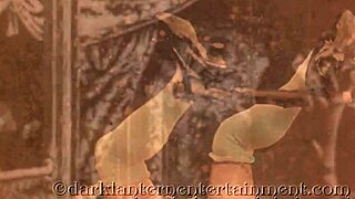 dark lantern unveils vintage swingers' erotic victorian sex confessions