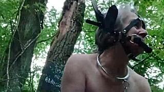 wanna see this french milf slave ponygirl bent over in forest for rough outdoor humiliation?