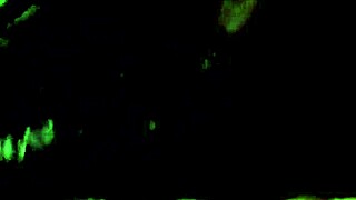 steph you giving head feels so fucking good right now