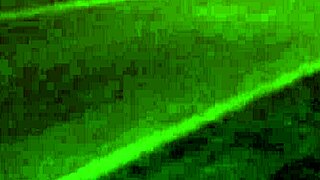 She sneaks out to pee on the quiet street at night