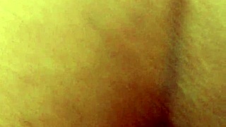 Dozier313 bends over and assfucks this fat ebony bbw till creampie