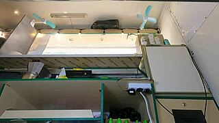 Perfect Pussy Teased Under Skirt at Work Voyeur Peek