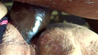 big juicy bbw ass takes black cock creampie! 🍑🍆💦