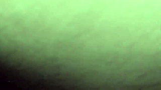 Cuck Opens Cheating Wife's Greedy Pussy For Bull