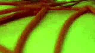 shy college slut bound and roughly penetrated in intense bdsm cowgirl session