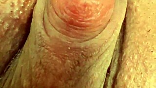 corno watches wife fuck live - red rose explosion!