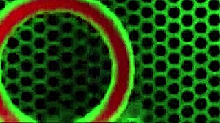 mature philly john nuts on moretta cox's pierced nipples wide ass!