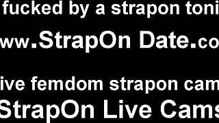 i'm strapping on this dildo to fuck you senseless till you squeal like a bitch