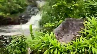 how bad do busty besties danae marie and lacey jane crave huge cocks on outdoor dates?