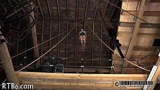 Sadomasochism Kinks Unveiled in Shadows