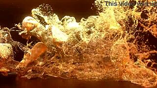 vicky demon's first tight anal gaping by lancelot