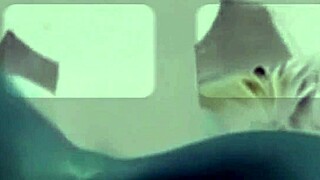 soft white teen worships that huge black dick in the car 🍆💦 ebony bbc pounding her tight pussy compilation