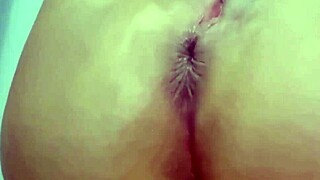 latina milf sucks big cock then gives ass