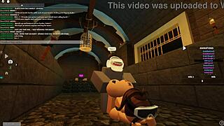 Bent-Over Rough Anal Doggystyle Ride in HD New Zealand Whore Fest