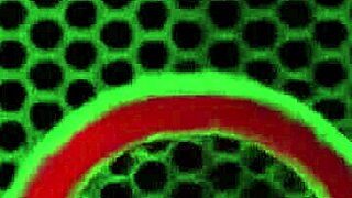 naughty sub and peaches devour james hardon plus rome majors bbc 😈🍑