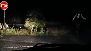 contracted hot colombian prostitute for intense ass pounding