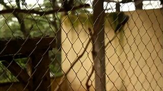 met this tourist dude in the park... his huge cock stuffed my mouth and tight ass for everyone watching!