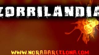 Hot shower orgy blowjobs before dinner trailer